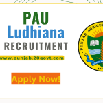 PAU-Ludhiana-Recruitment-1500x800